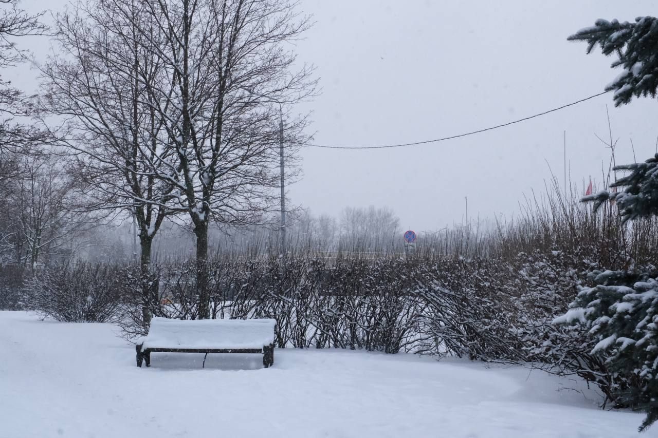 An empty bench and bare trees covered in snow in a Moscow park
