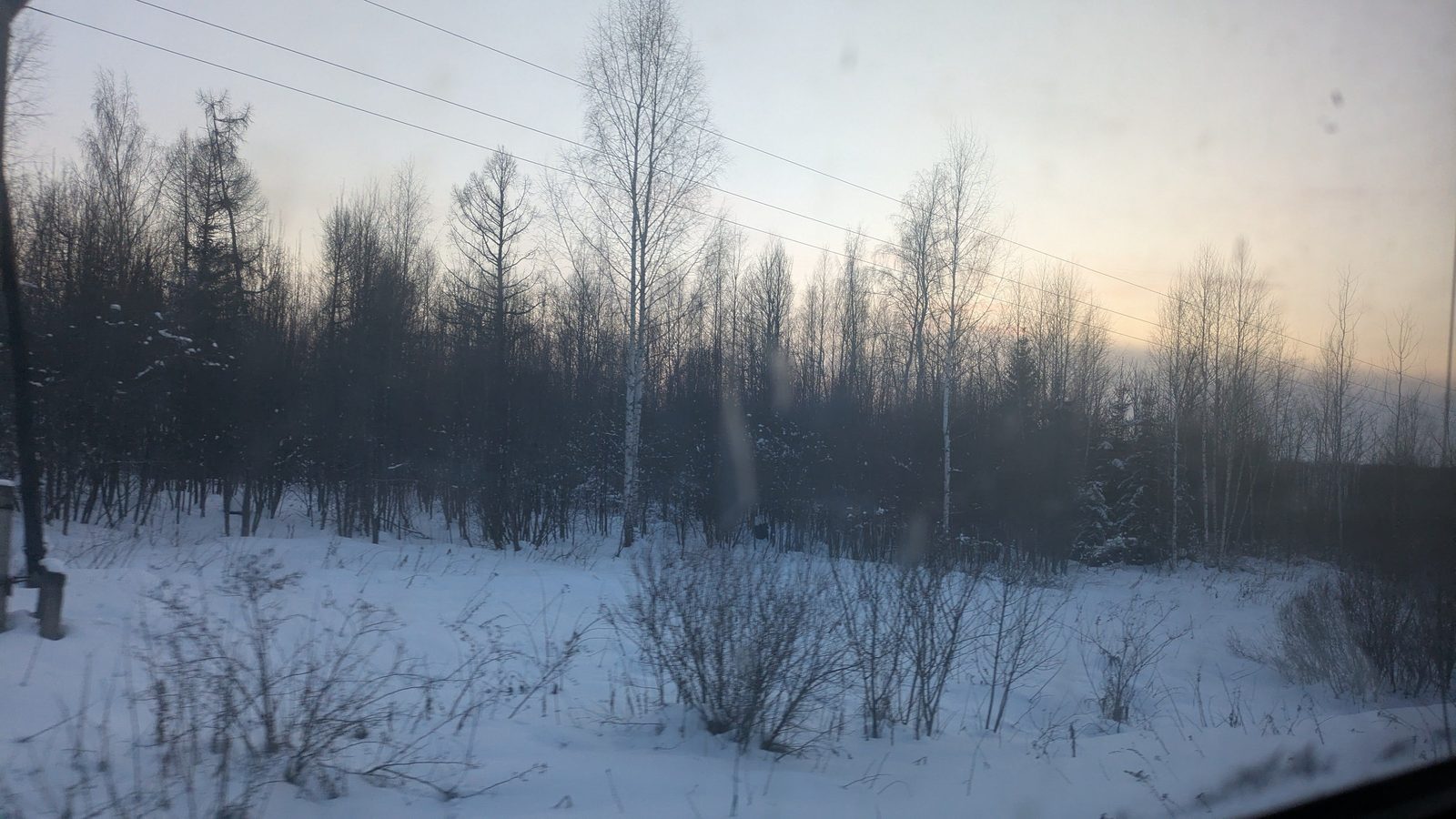 Snowy birch forest at dusk seen from the Trans-Siberian window